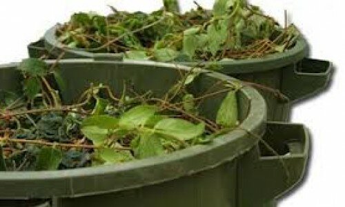 Birmingham unveils bargain basement bin collection offer Birmingham unveils bargain basement bin collection offer