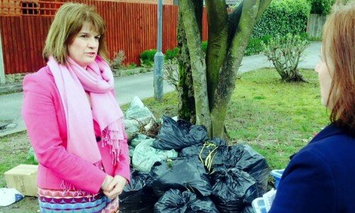 Green waste row set to turn Birmingham council elections into gardeners’ question time Green waste row set to turn Birmingham council elections into gardeners’ question time