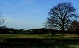 Street commits to ‘brownfield first’, but housing could be biggest political challenge Street commits to ‘brownfield first’, but housing could be biggest political challenge