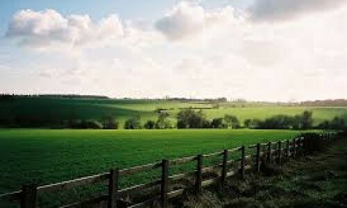 Save the green belt campaign aims to halt ‘unrestricted city sprawl’ Save the green belt campaign aims to halt ‘unrestricted city sprawl’