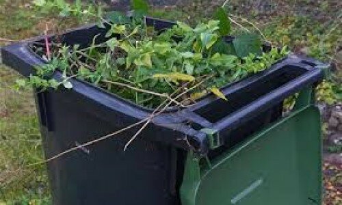 Lib Dems pledge free green bins service as council suspends ‘waste hierarchy’ study Lib Dems pledge free green bins service as council suspends ‘waste hierarchy’ study