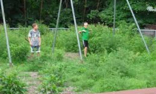 Tories fight to save ‘green oases’ as Labour targets parks for house building Tories fight to save ‘green oases’ as Labour targets parks for house building