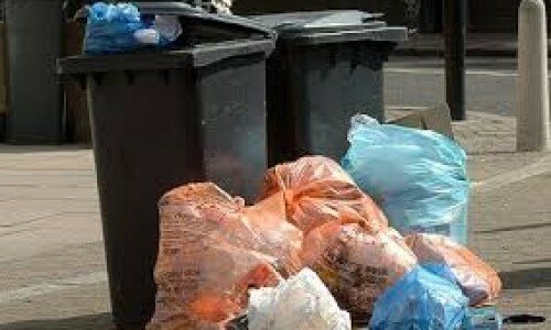 Council: what’s ‘bin’ going on? Council: what’s ‘bin’ going on?