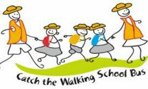 Walk to school policy ‘in disarray’ as council promises inquiry into what went wrong Walk to school policy ‘in disarray’ as council promises inquiry into what went wrong