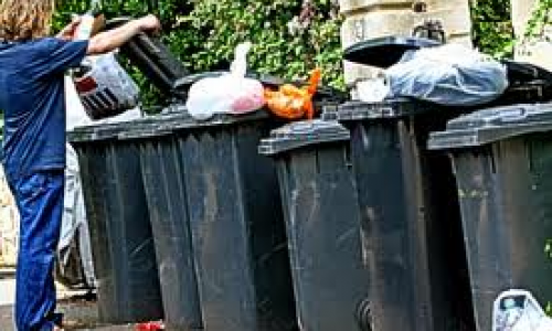 Everything you wanted to know about wheelie bins (but were afraid to ask) Everything you wanted to know about wheelie bins (but were afraid to ask)