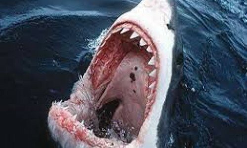 Town hall spending power cut by a quarter as ‘jaws of doom’ close in Town hall spending power cut by a quarter as ‘jaws of doom’ close in